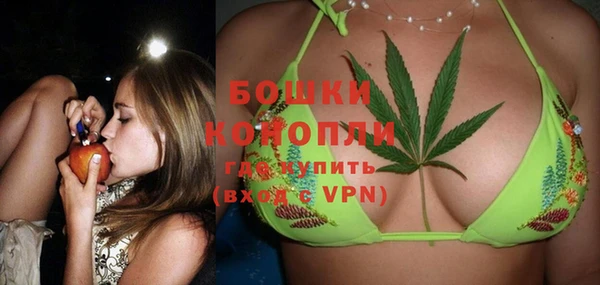 твердый Протвино
