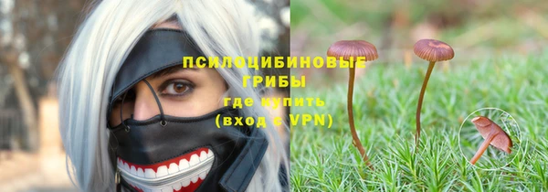 твердый Протвино