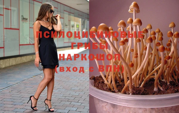 твердый Протвино