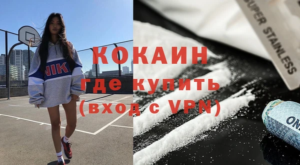 твердый Протвино