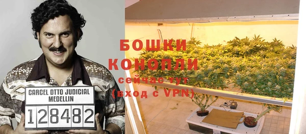 твердый Протвино