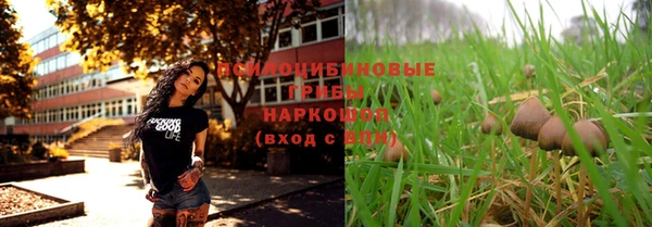 твердый Протвино