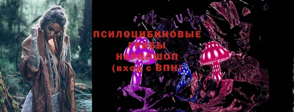 mdpv Приозерск