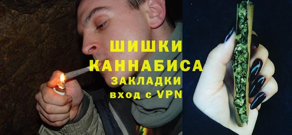 твердый Протвино
